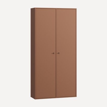 Распашной шкаф Сайрис 2-98x202 Терракотовый