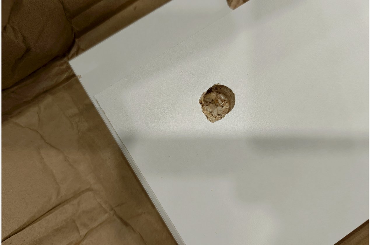 Изображение 926065