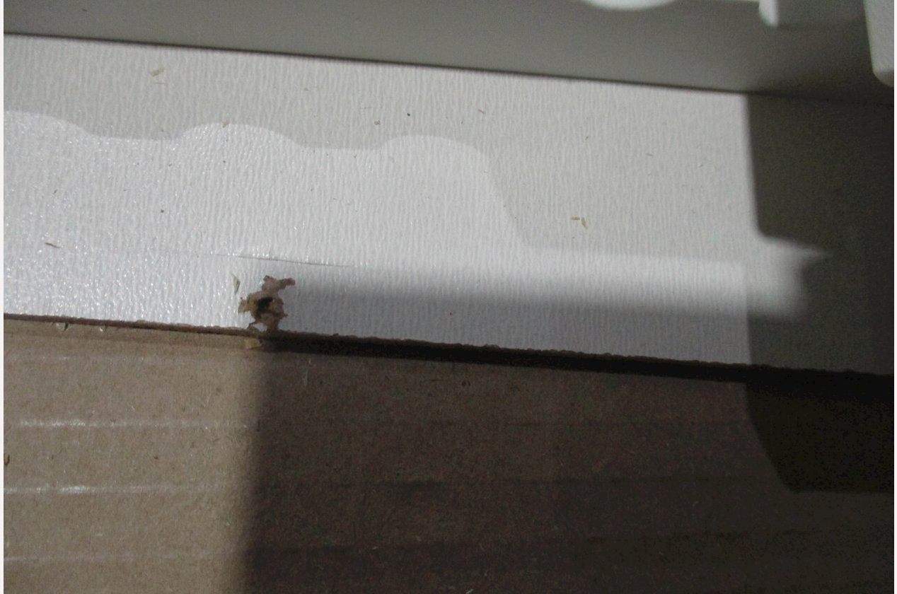 Изображение 918480