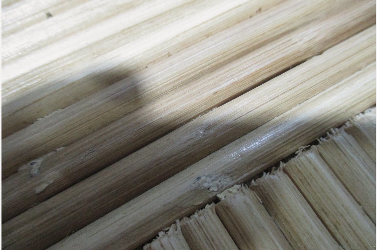 Изображение 923279