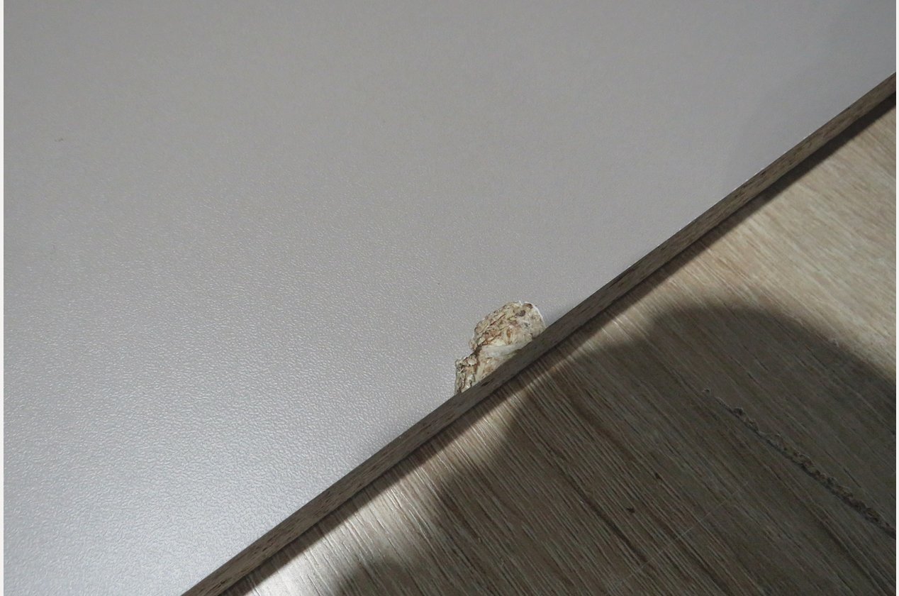 Изображение 930318