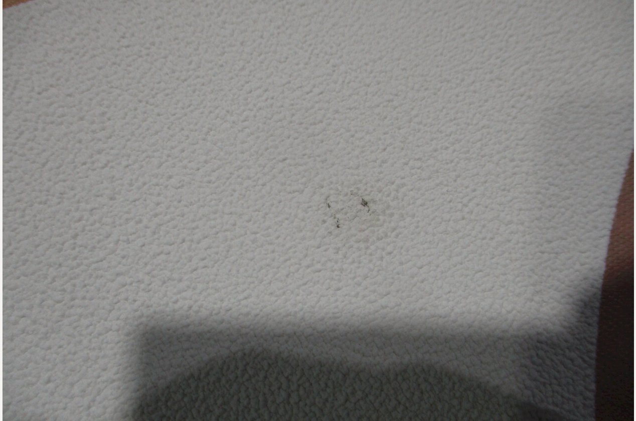 Изображение 903486