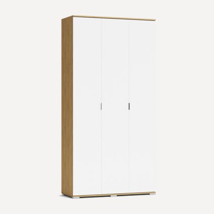 Распашной шкаф Стелла-3 