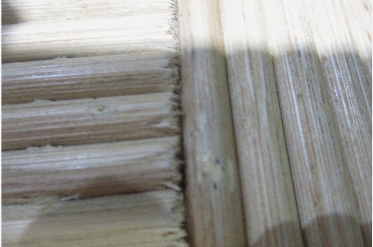 Изображение 923281