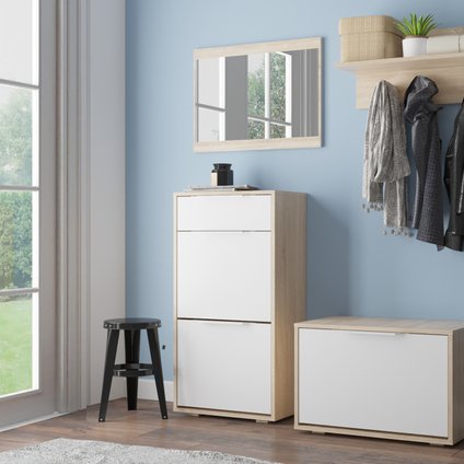 Модульная прихожая Лира-2 