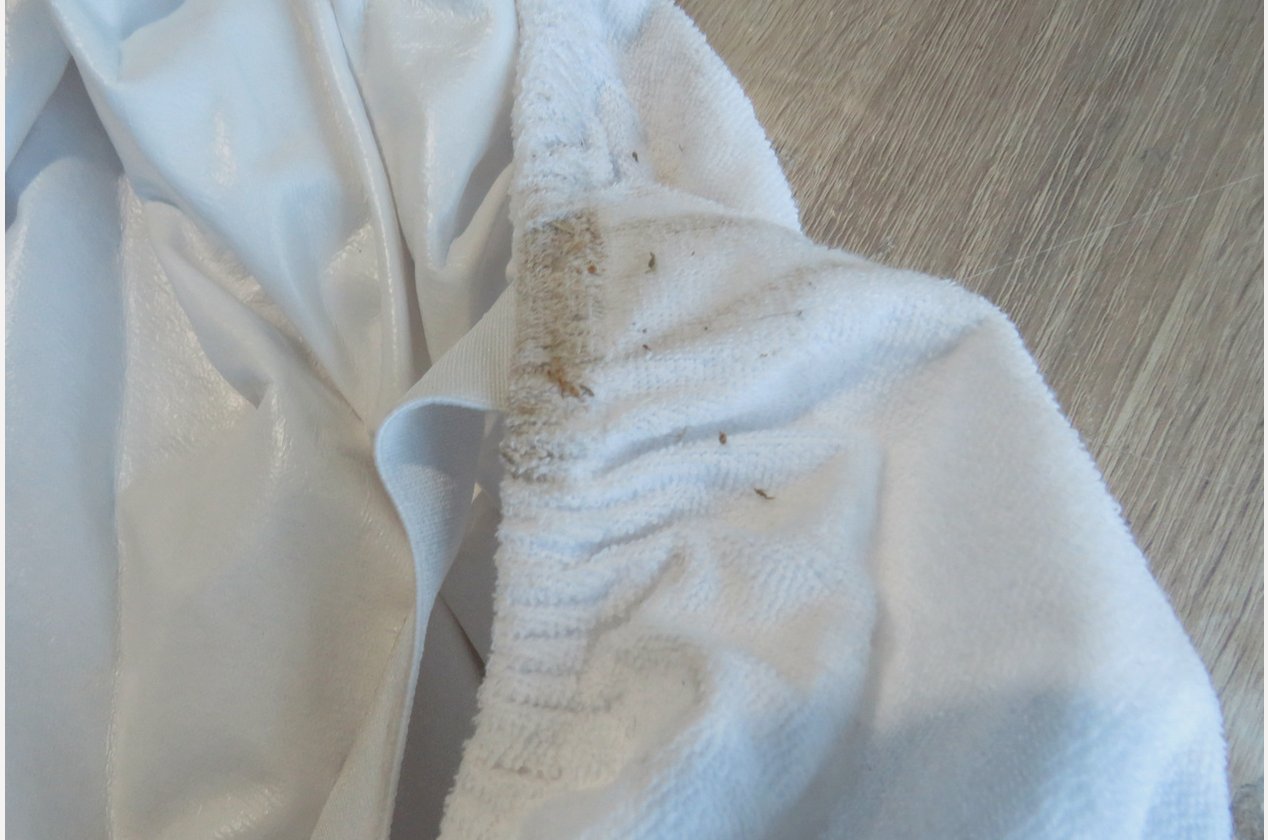 Изображение 979783