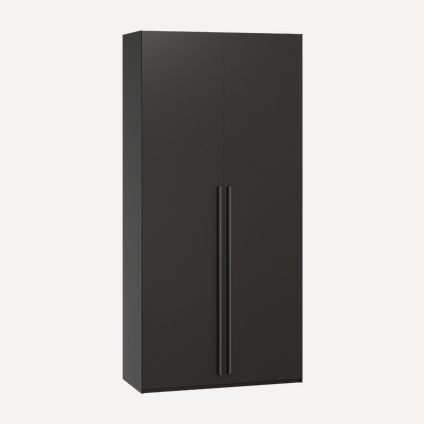 Распашной шкаф Лорэна-2-100-210 Black