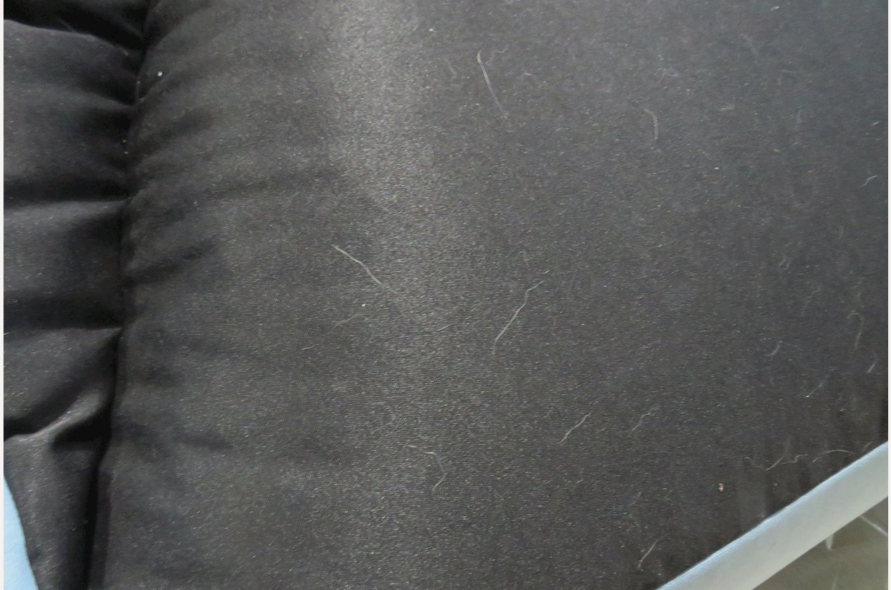 Изображение 954665