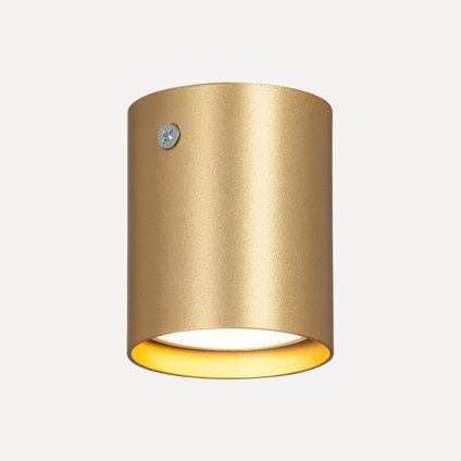 Спот Минки Gold