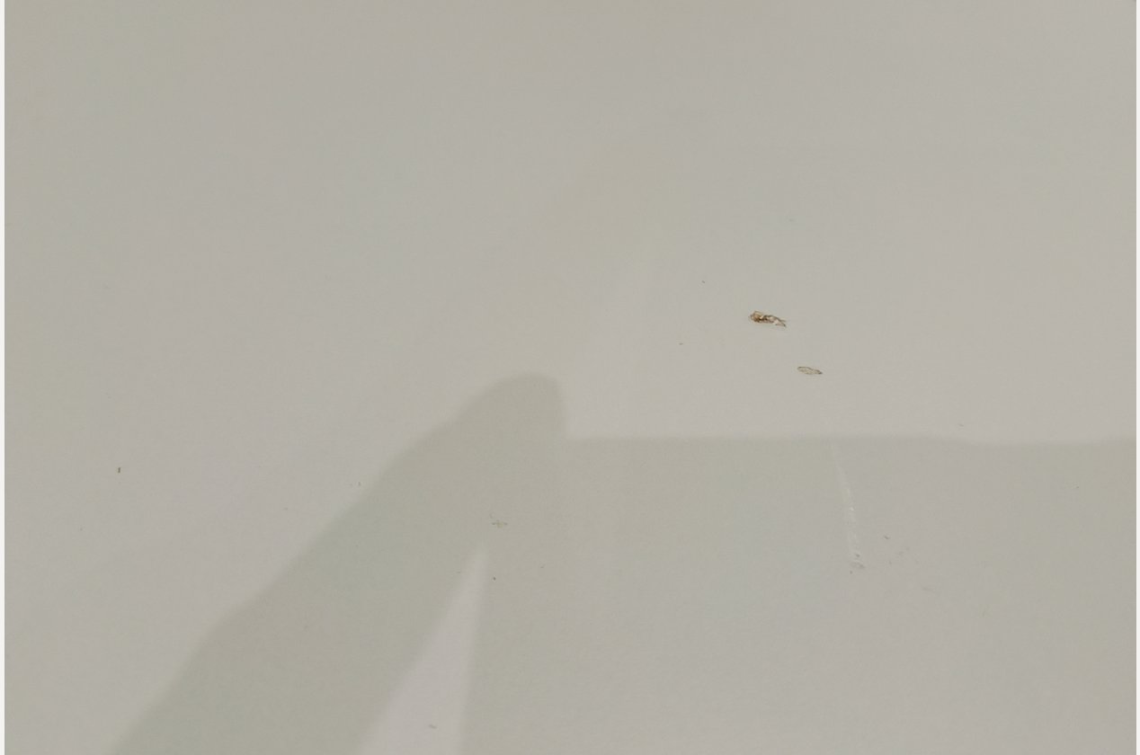 Изображение 933356