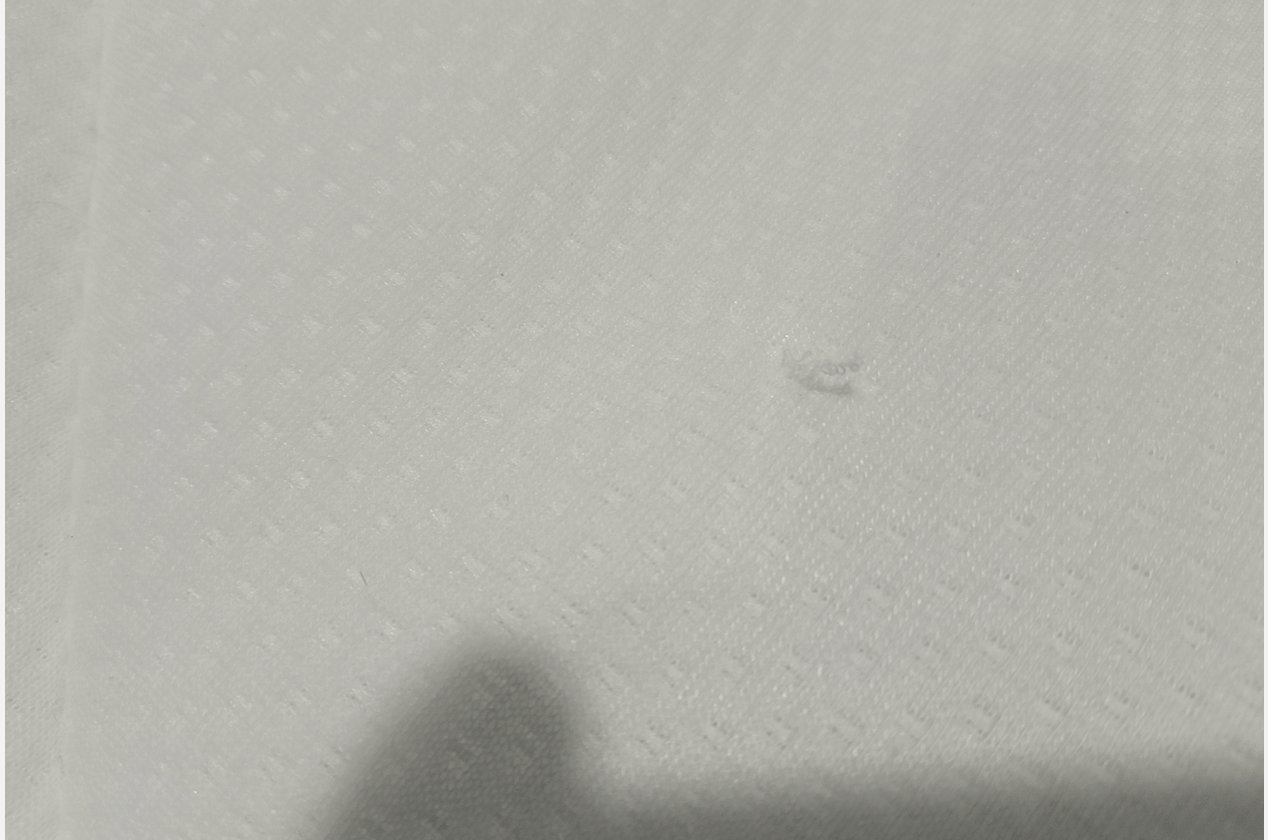 Изображение 924020