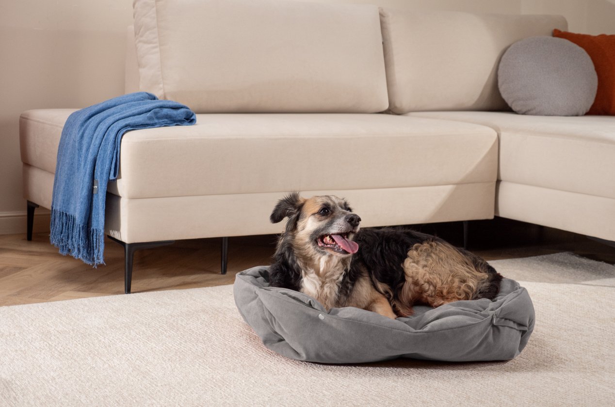 Изображение 930777