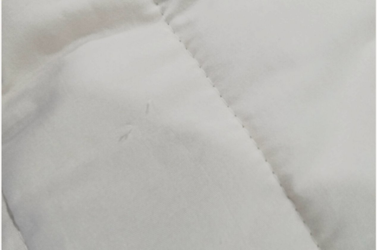 Изображение 909684