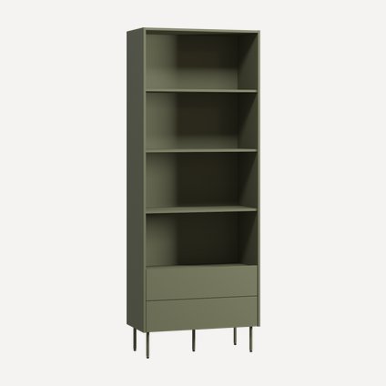 Стеллаж Дигарс 83x220 Оливковый