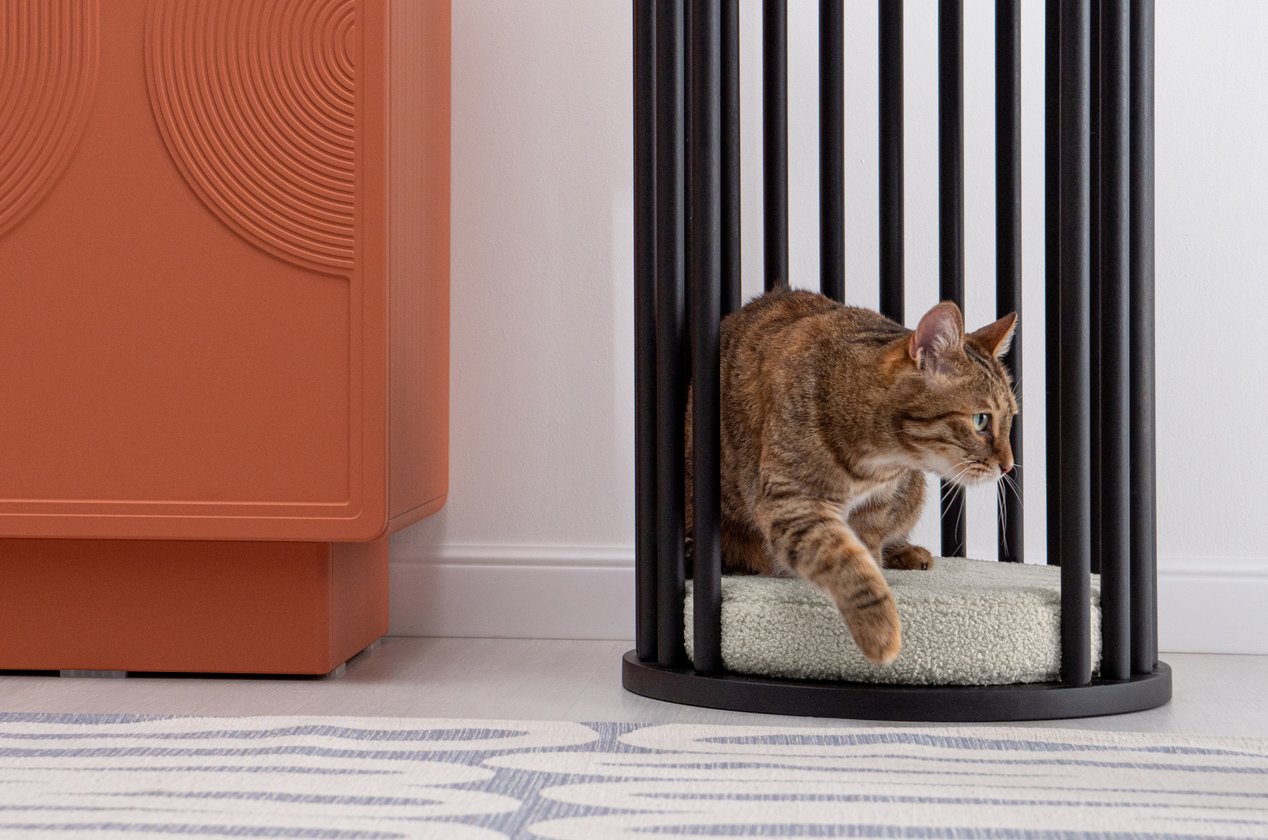 Изображение 878492