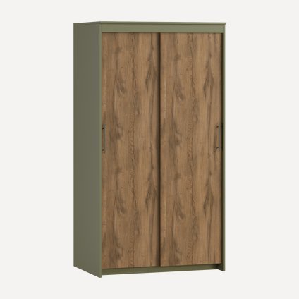 Шкаф-купе Тебар-2 