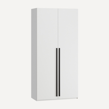 Распашной шкаф Лорэна-2 