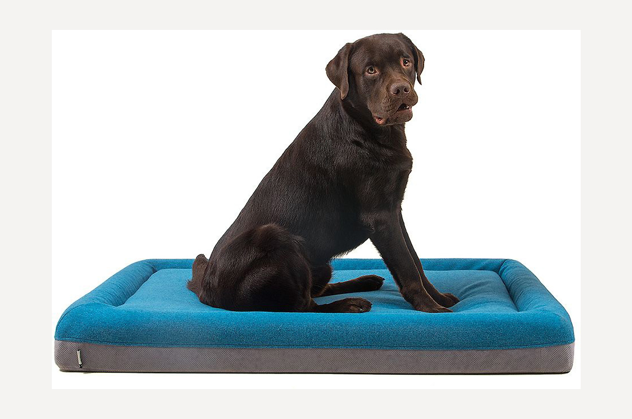 Изображение 31402