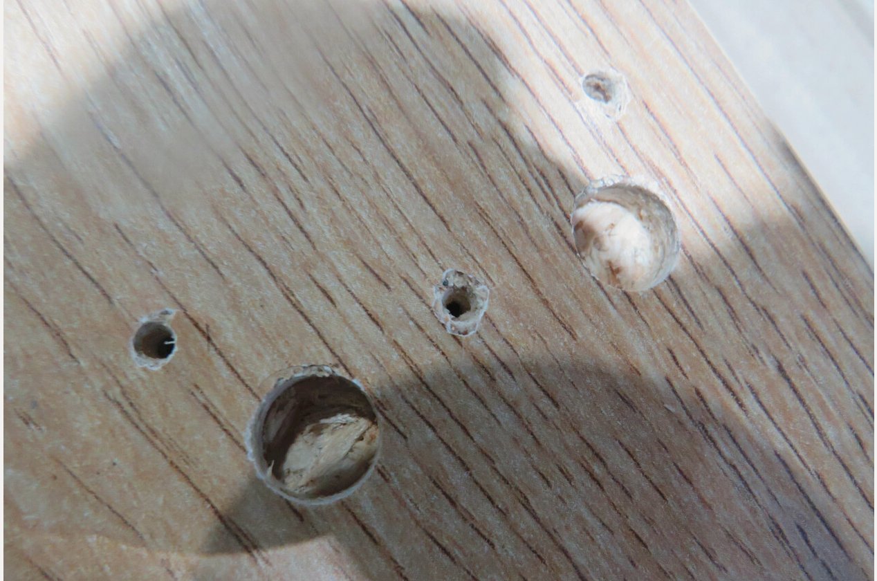 Изображение 907024