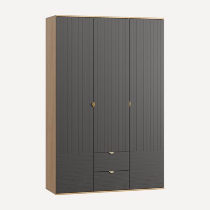 Распашной шкаф Монблан 3-139x215 Линии Графитовый