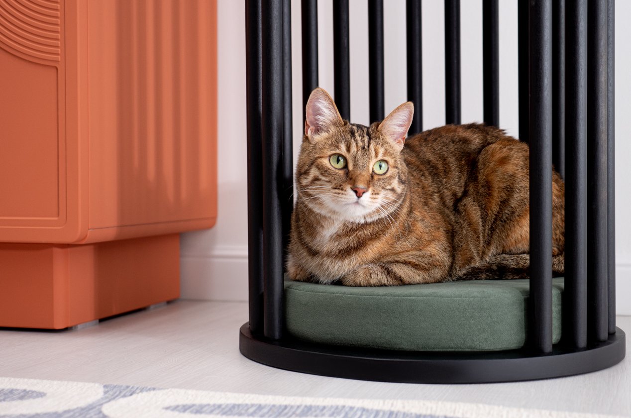 Изображение 878497