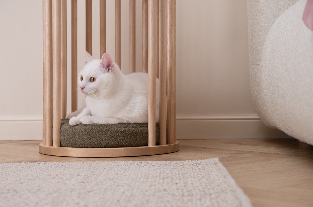 Изображение 879138