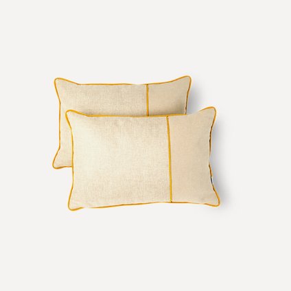 Комплект подушек Аква Tapioca 40x60