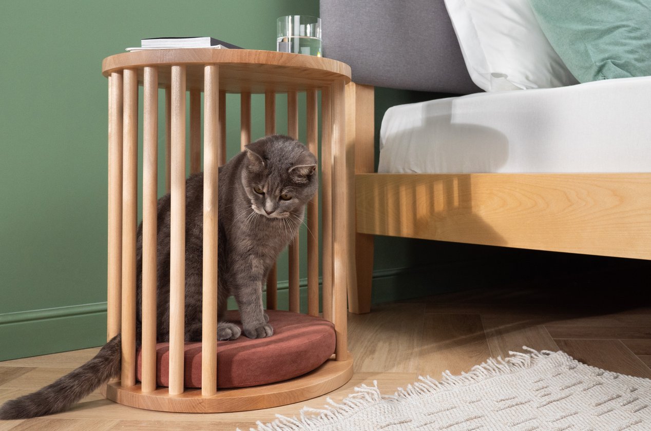 Изображение 877759