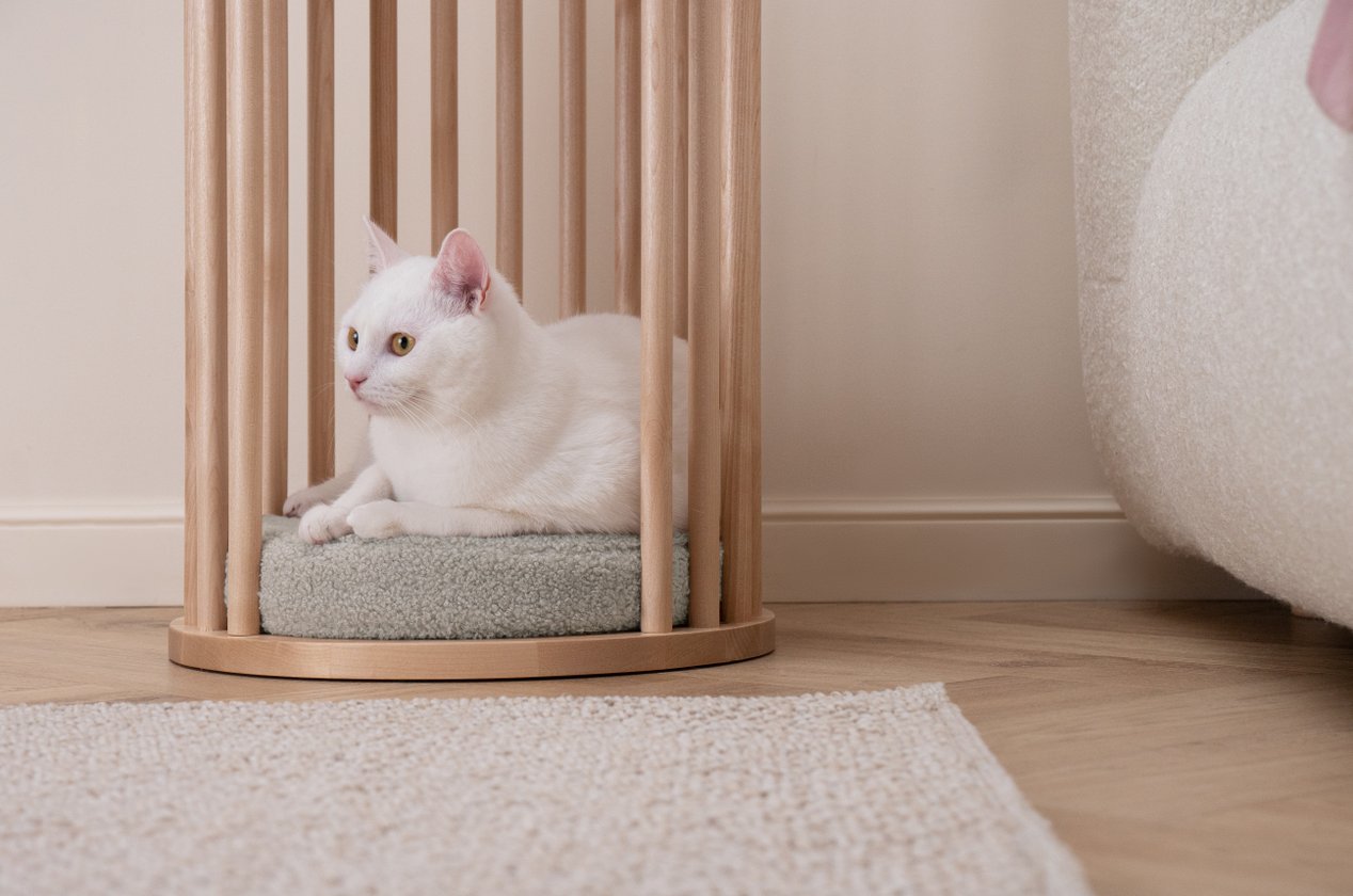 Изображение 879140