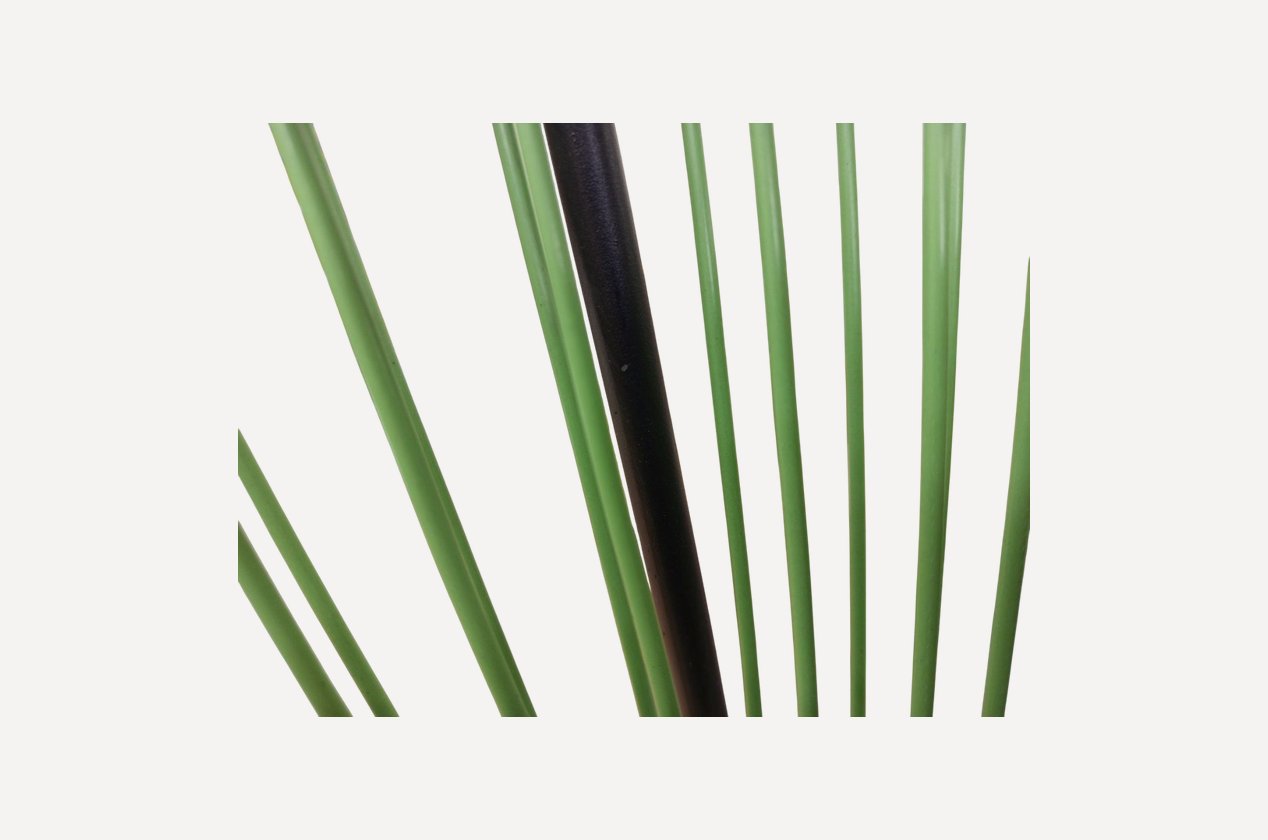 Изображение 916105