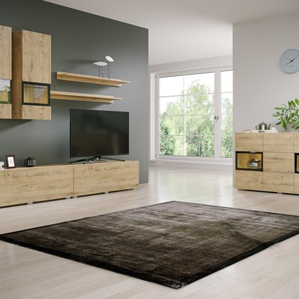 Модульная гостиная Бремен Дуб Ирландский