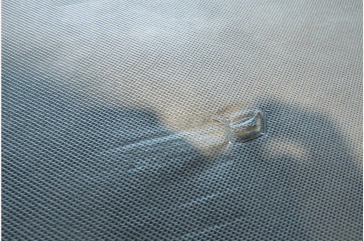 Изображение 973722