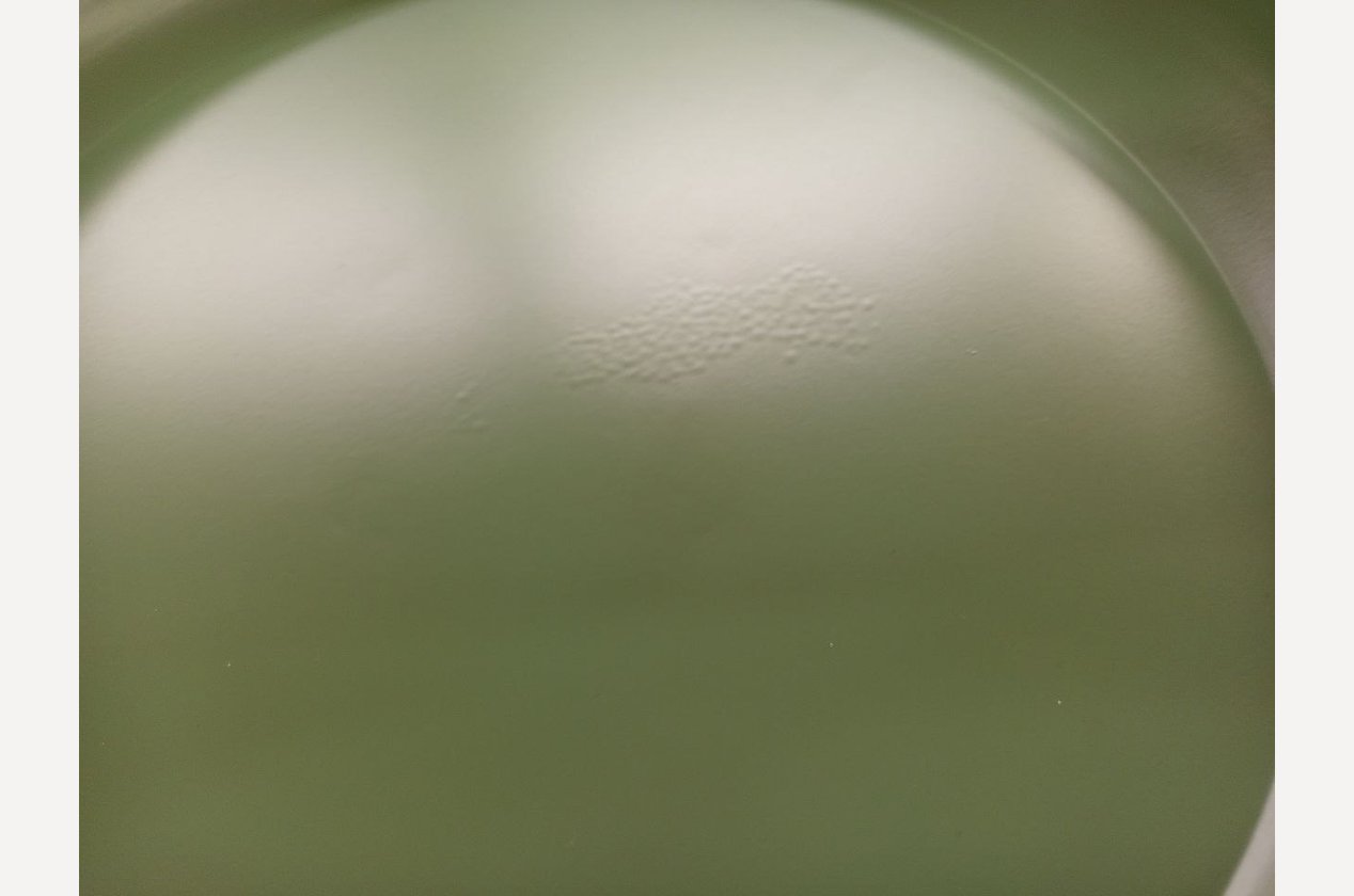 Журнальный стол Колдер Green - фото 4 Журнальный стол Колдер Green - фото 4