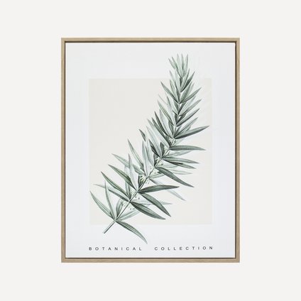 Картина Ботаник Herb