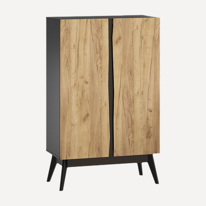 Тумба Хайдер-2 Дуб Тортуга