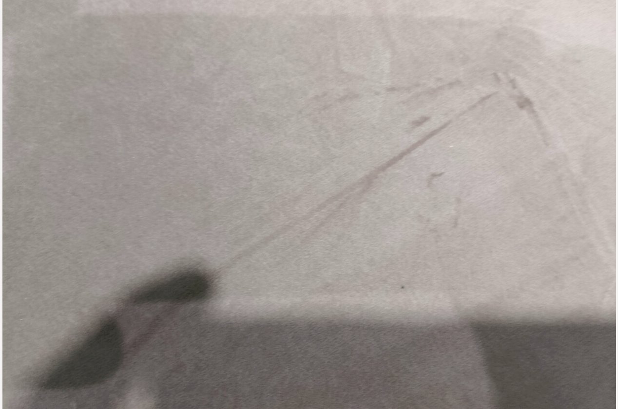 Изображение 919273