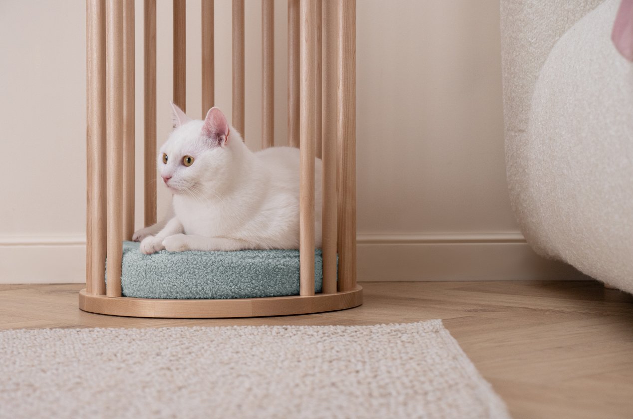 Изображение 879144