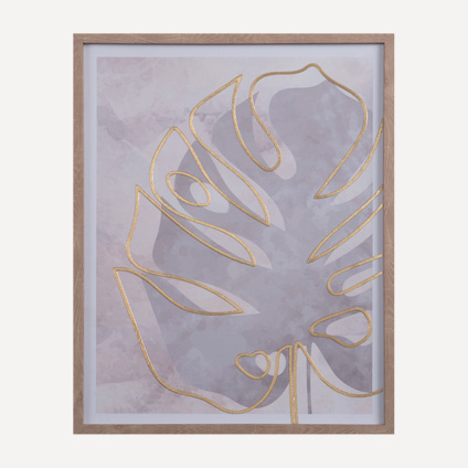 Сурет Экзотик Monstera