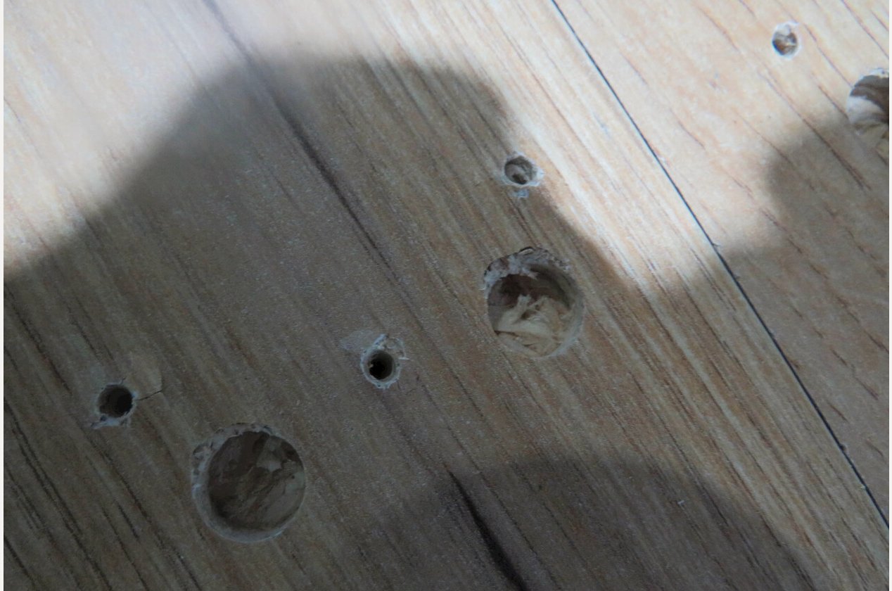 Изображение 907025