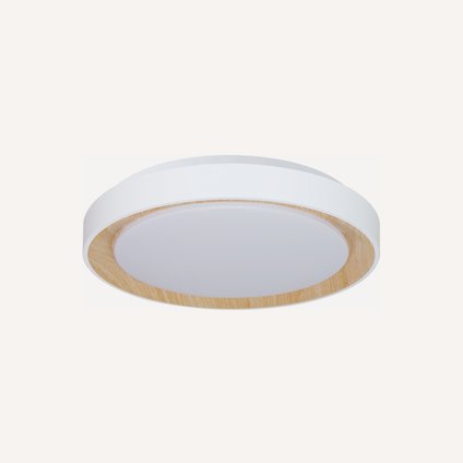 Светильник потолочный Ринга White