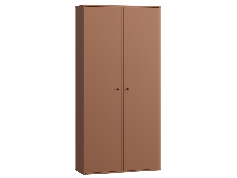 Распашной шкаф Сайрис 2-98x202 Терракотовый