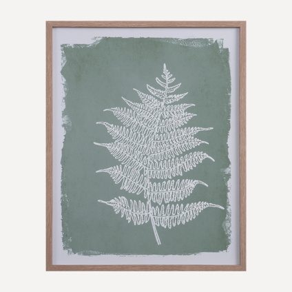 Сурет Ботаник Green Fern