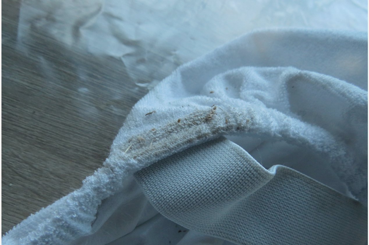 Изображение 979782