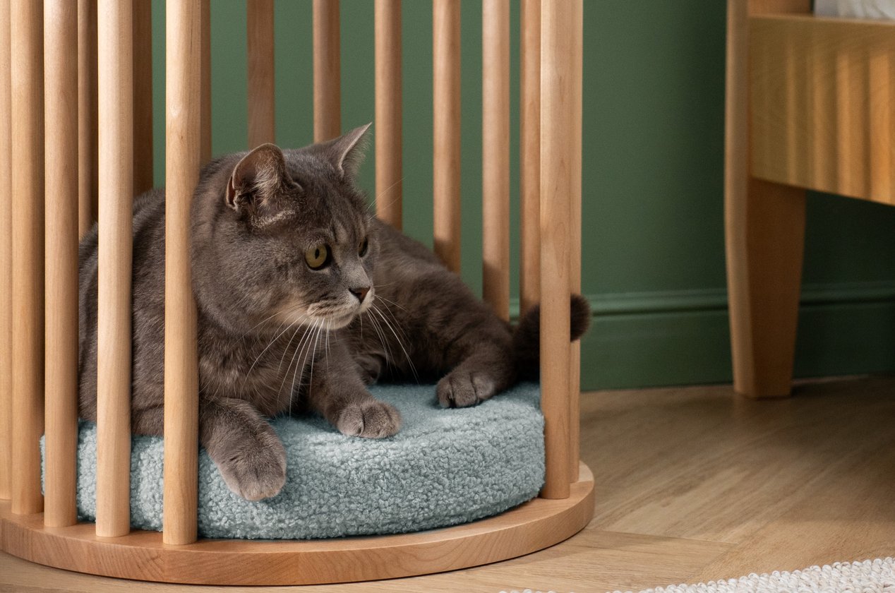 Изображение 877757