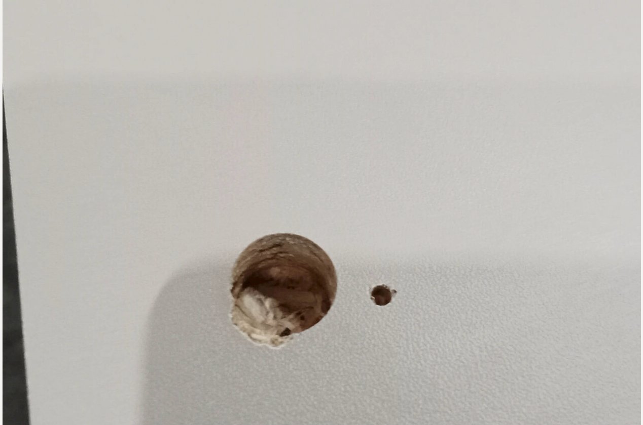 Изображение 902052