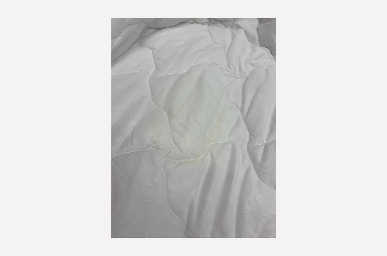 Изображение 950221