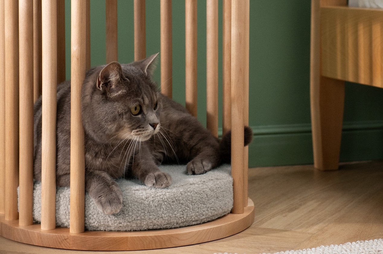 Изображение 877753