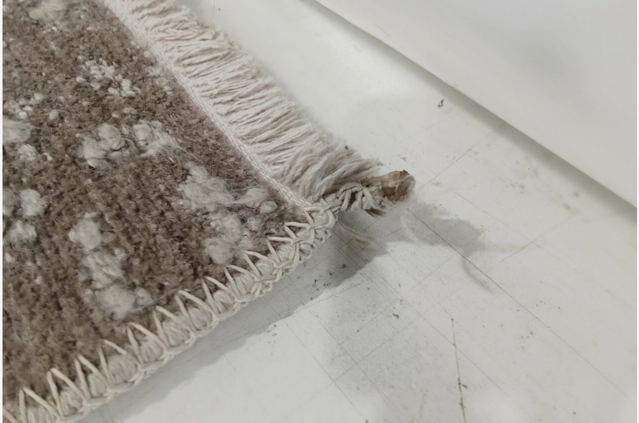 Изображение 904070