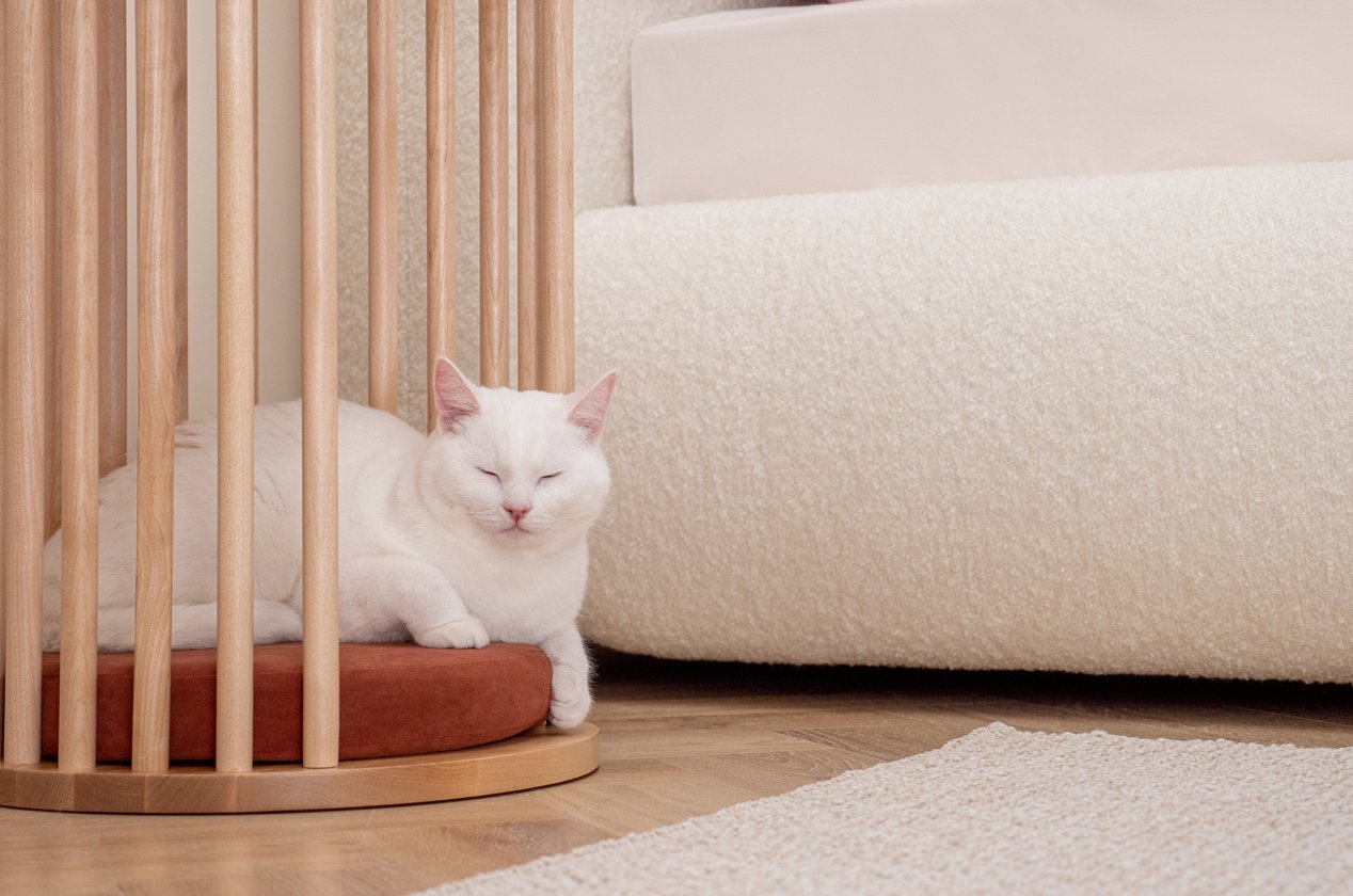 Изображение 879149