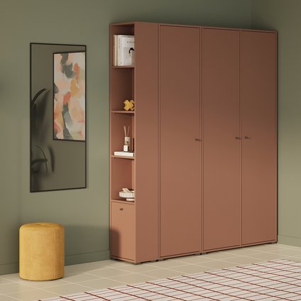 Модульная прихожая Сайрис-4 Terra